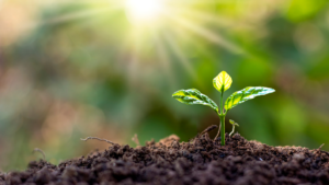 Granular calcium fertilizer has many benefits for your soil.